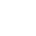 ss777 icon