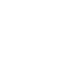 ss777 icon