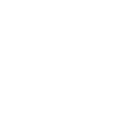 ss777 icon