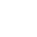 ss777 icon