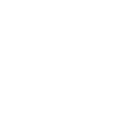 ss777 icon