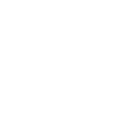 ss777 icon