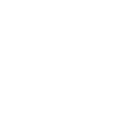ss777 icon